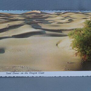 Vintage Postcard - Sand Dunes on the Oregon Coast - Smith Western Inc.